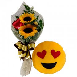 Combo emoticons coração